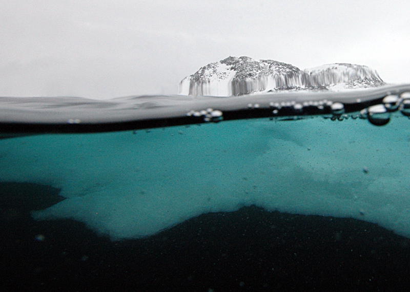 Eis gesehen von Unterwasser (Bild von Linda Ashmore)